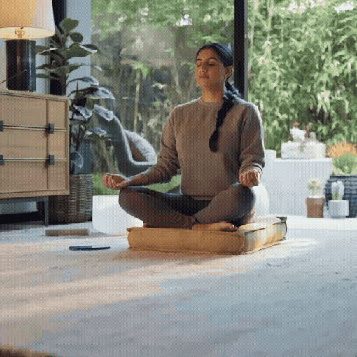 Meta – The Resolutions Assistant